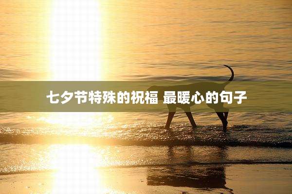 七夕节特殊的祝福 最暖心的句子