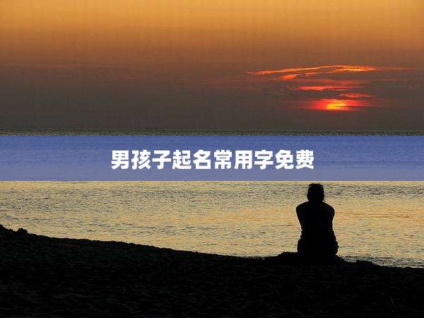 男孩子起名常用字免费