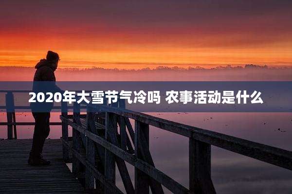2020年大雪节气冷吗 农事活动是什么
