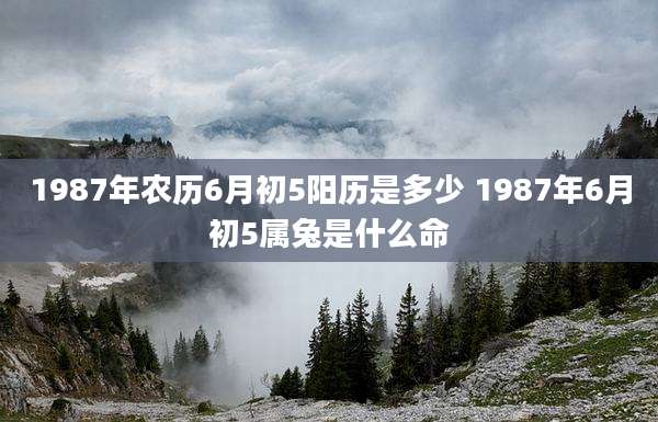 1987年农历6月初5阳历是多少 1987年6月初5属兔是什么命