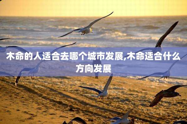 木命的人适合去哪个城市发展,木命适合什么方向发展