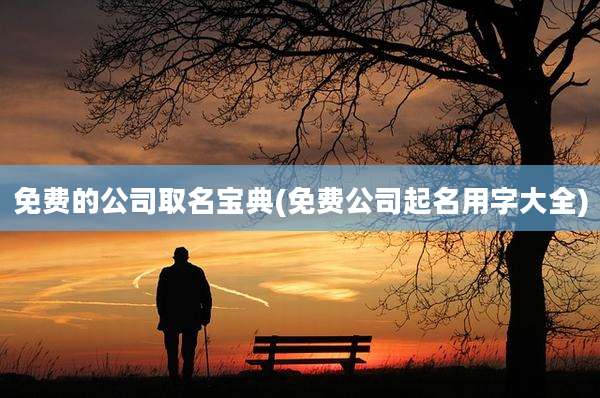 免费的公司取名宝典(免费公司起名用字大全)