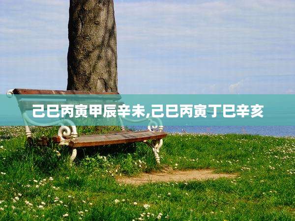 己巳丙寅甲辰辛未,己巳丙寅丁巳辛亥