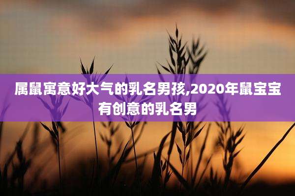 属鼠寓意好大气的乳名男孩,2020年鼠宝宝有创意的乳名男