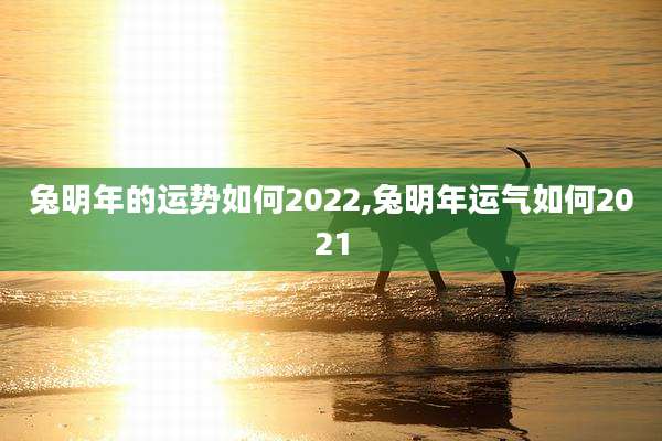 兔明年的运势如何2022,兔明年运气如何2021