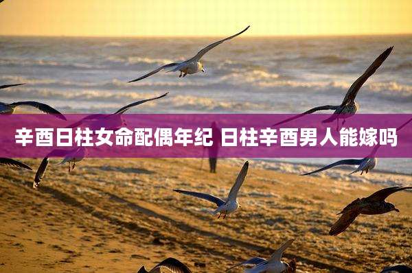 辛酉日柱女命配偶年纪 日柱辛酉男人能嫁吗