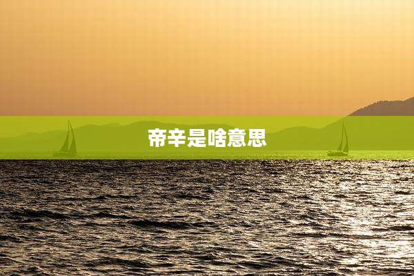 帝辛是啥意思
