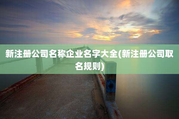 新注册公司名称企业名字大全(新注册公司取名规则)