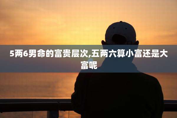 5两6男命的富贵层次,五两六算小富还是大富呢