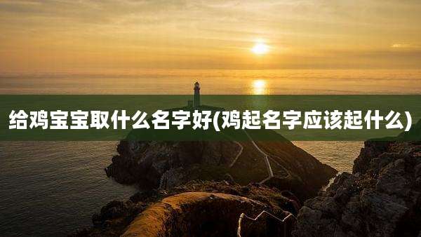 给鸡宝宝取什么名字好(鸡起名字应该起什么)