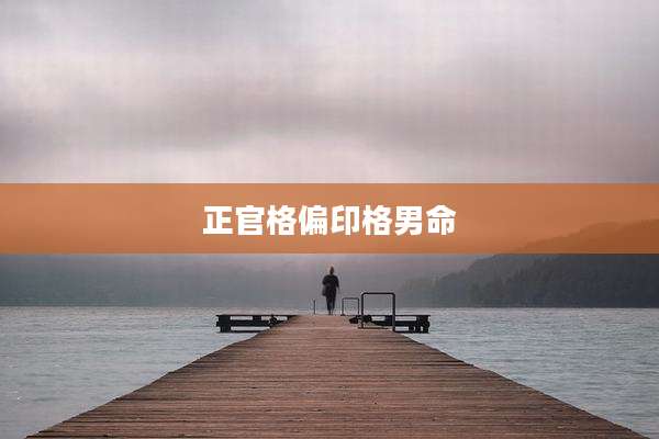 正官格偏印格男命