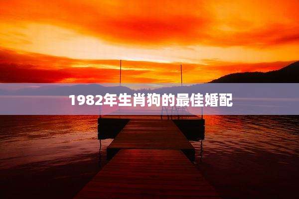 1982年生肖狗的最佳婚配