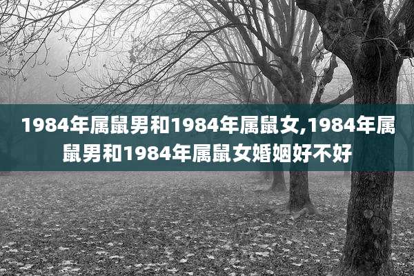 1984年属鼠男和1984年属鼠女,1984年属鼠男和1984年属鼠女婚姻好不好