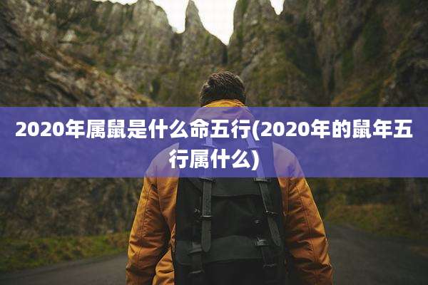 2020年属鼠是什么命五行(2020年的鼠年五行属什么)