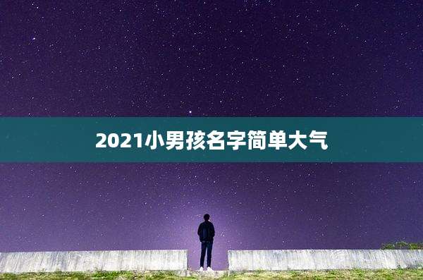 2021小男孩名字简单大气