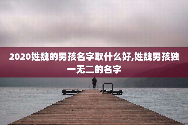 2020姓魏的男孩名字取什么好,姓魏男孩独一无二的名字