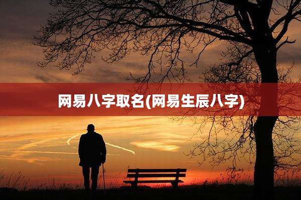 网易八字取名(网易生辰八字)