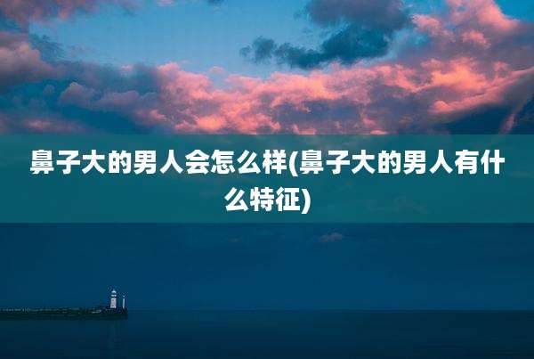 鼻子大的男人会怎么样(鼻子大的男人有什么特征)