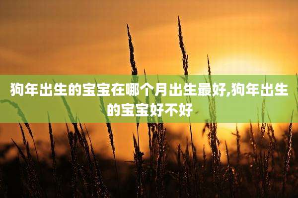 狗年出生的宝宝在哪个月出生最好,狗年出生的宝宝好不好