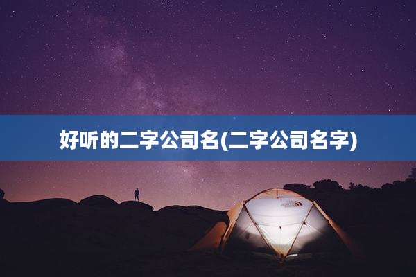 好听的二字公司名(二字公司名字)