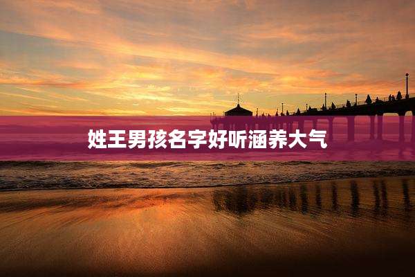 姓王男孩名字好听涵养大气