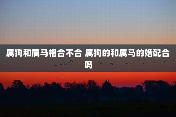 属狗和属马相合不合 属狗的和属马的婚配合吗