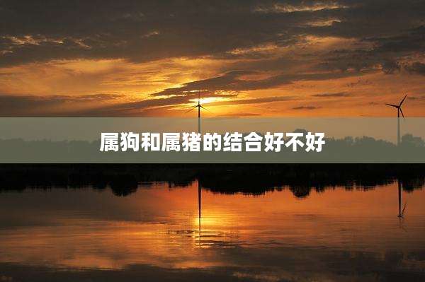 属狗和属猪的结合好不好