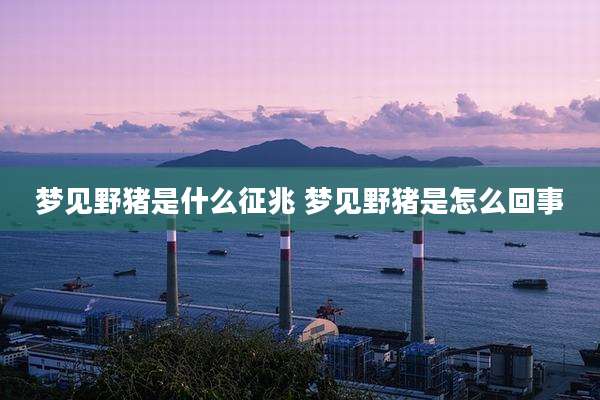 梦见野猪是什么征兆 梦见野猪是怎么回事