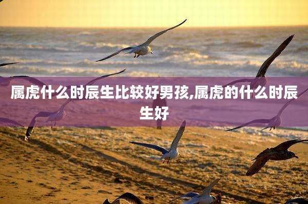 属虎什么时辰生比较好男孩,属虎的什么时辰生好