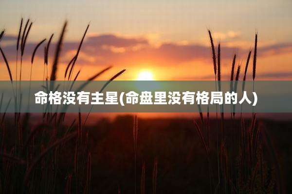 命格没有主星(命盘里没有格局的人)