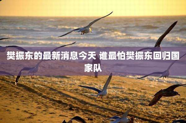 樊振东的最新消息今天 谁最怕樊振东回归国家队