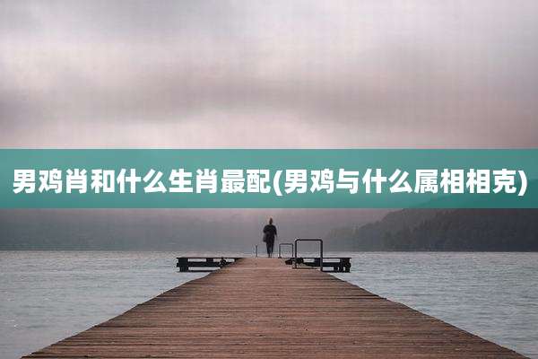 男鸡肖和什么生肖最配(男鸡与什么属相相克)