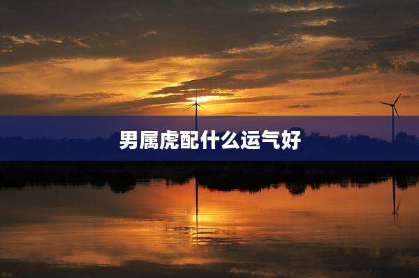 男属虎配什么运气好