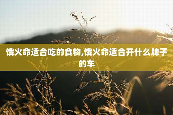饿火命适合吃的食物,饿火命适合开什么牌子的车
