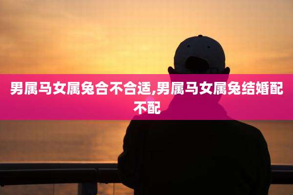 男属马女属兔合不合适,男属马女属兔结婚配不配