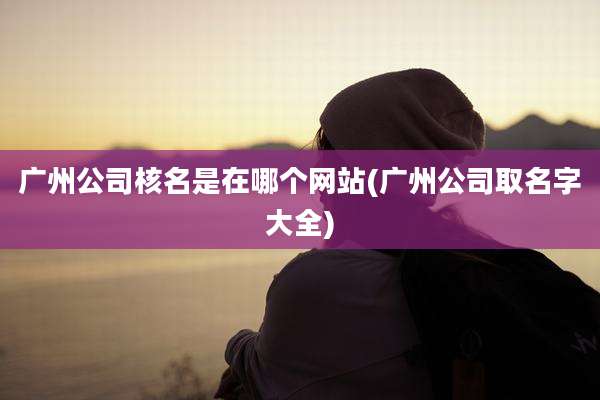 广州公司核名是在哪个网站(广州公司取名字大全)