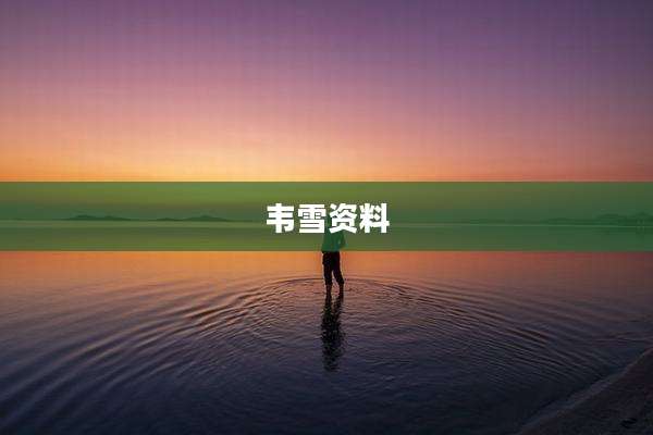 韦雪资料