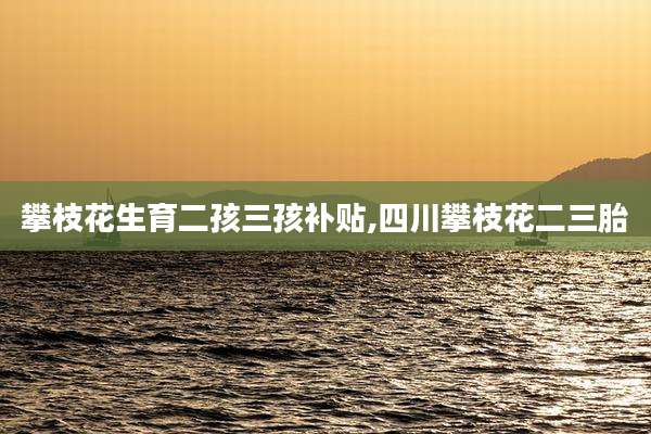 攀枝花生育二孩三孩补贴,四川攀枝花二三胎