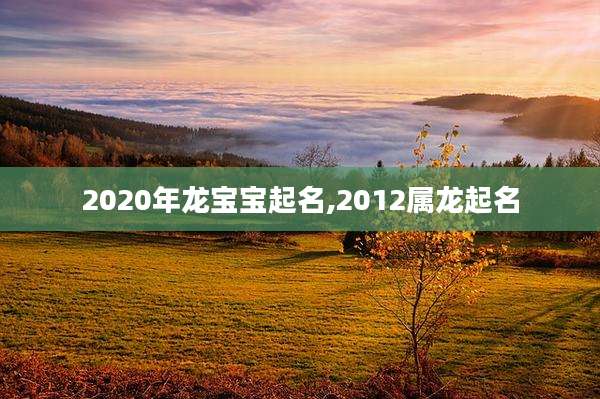 2020年龙宝宝起名,2012属龙起名