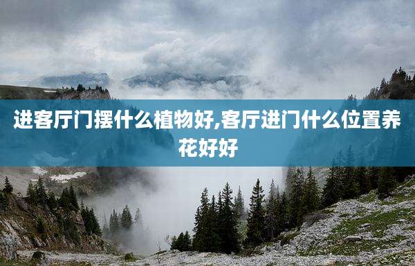 进客厅门摆什么植物好,客厅进门什么位置养花好好