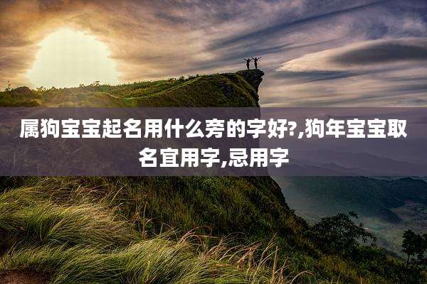 属狗宝宝起名用什么旁的字好?,狗年宝宝取名宜用字,忌用字