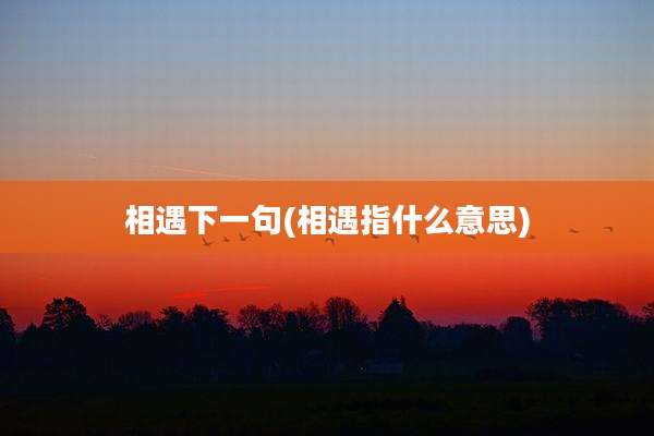 相遇下一句(相遇指什么意思)