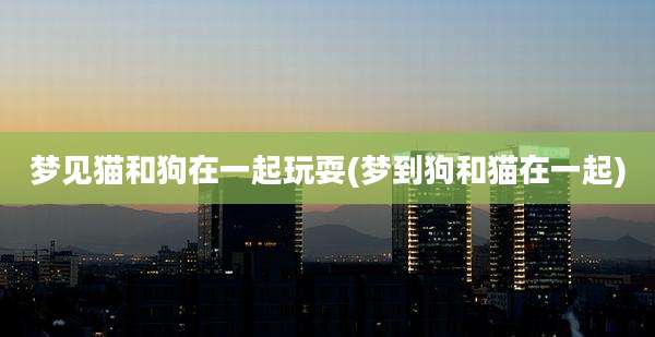 梦见猫和狗在一起玩耍(梦到狗和猫在一起)