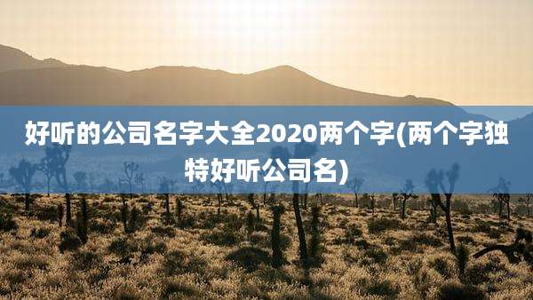 好听的公司名字大全2020两个字(两个字独特好听公司名)