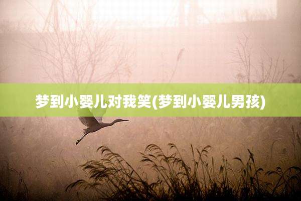 梦到小婴儿对我笑(梦到小婴儿男孩)
