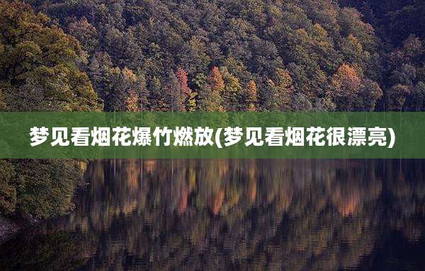 梦见看烟花爆竹燃放(梦见看烟花很漂亮)
