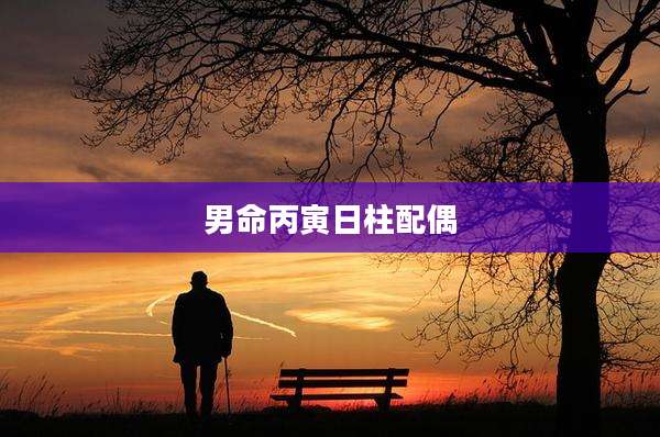 男命丙寅日柱配偶