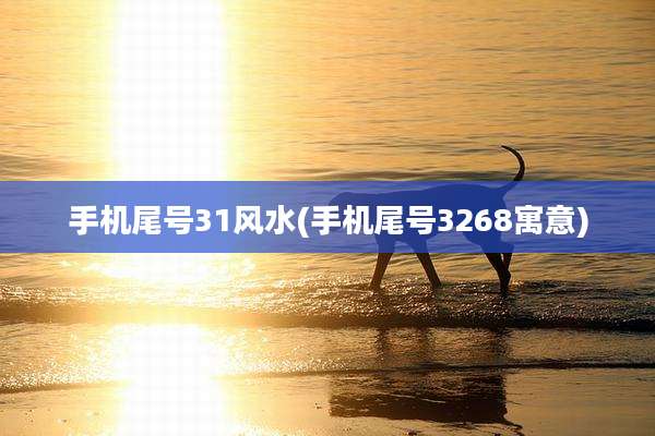 手机尾号31风水(手机尾号3268寓意)