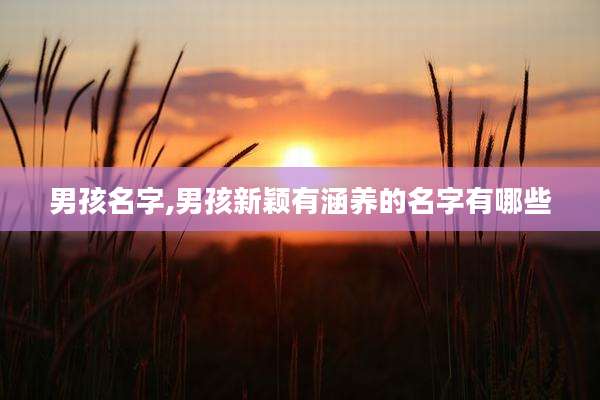男孩名字,男孩新颖有涵养的名字有哪些