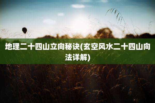 地理二十四山立向秘诀(玄空风水二十四山向法详解)